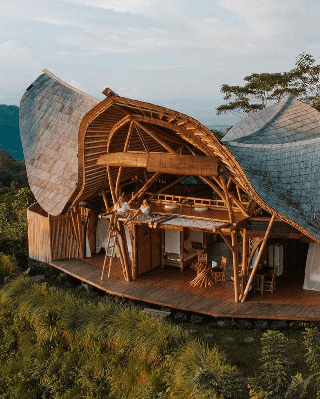 Nature at Bamboo Edge