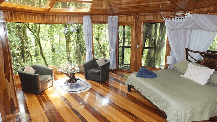 Canopy Treehouse